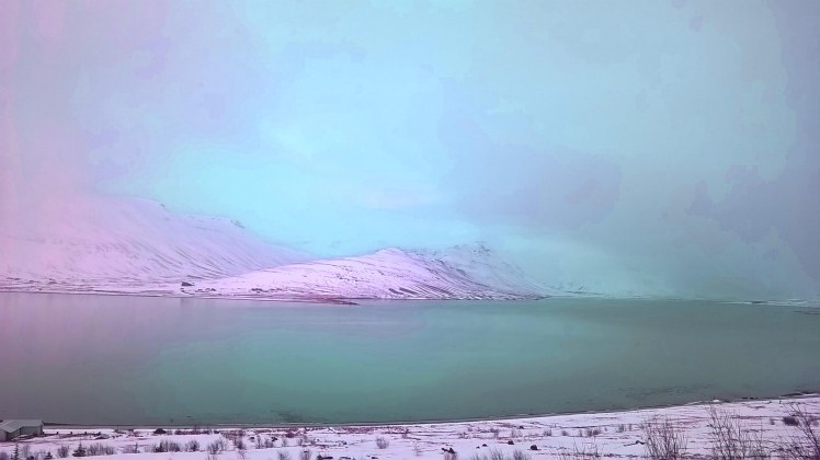 WP_20150125_14_11_56_Pro