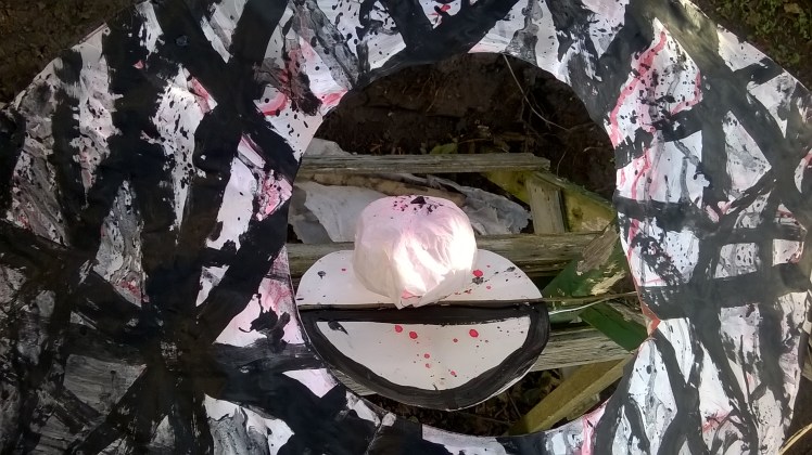 WP_20150927_11_11_21_Pro